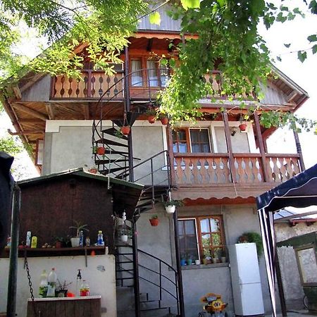 Casa Oana Hotel Sulina Eksteriør billede