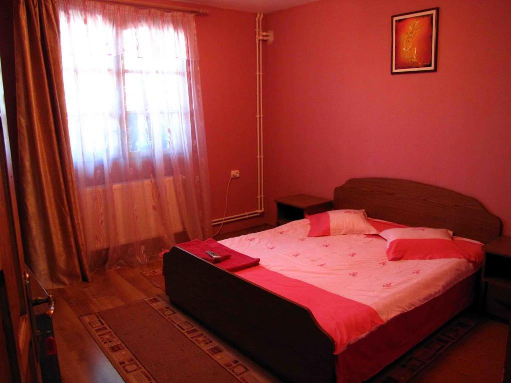 Casa Oana Hotel Sulina Værelse billede
